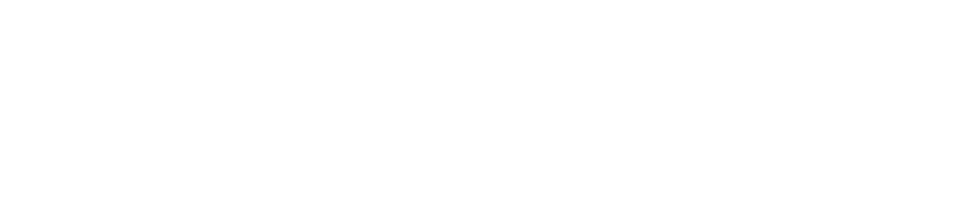 Visual .NET development